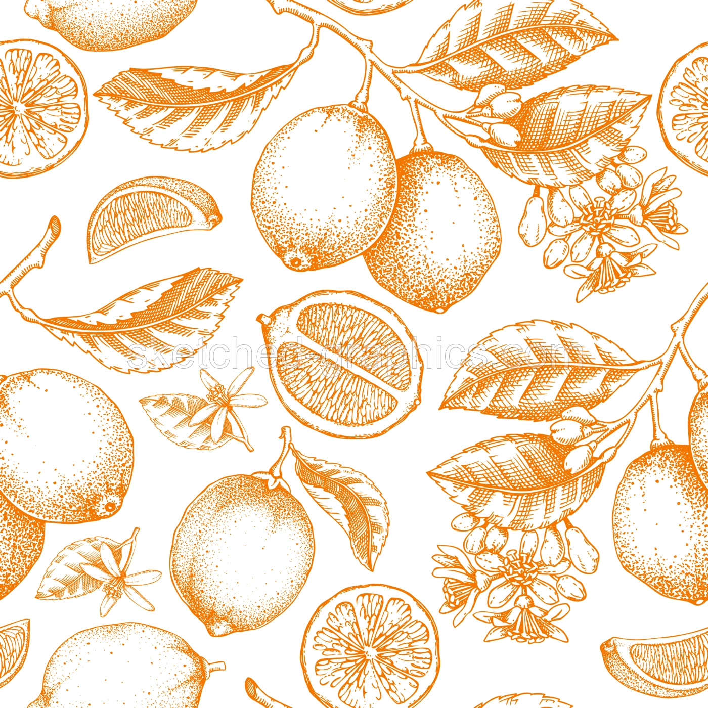 Lime fruit seamless pattern. Citrus fruit sketches. Botanical background. Exotic plants texture. Hand drawn vector illustration. NOT AI generated Illustration